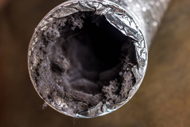 Best Dryer Vent Cleaning in Jefferson Valley Yorktown, NY